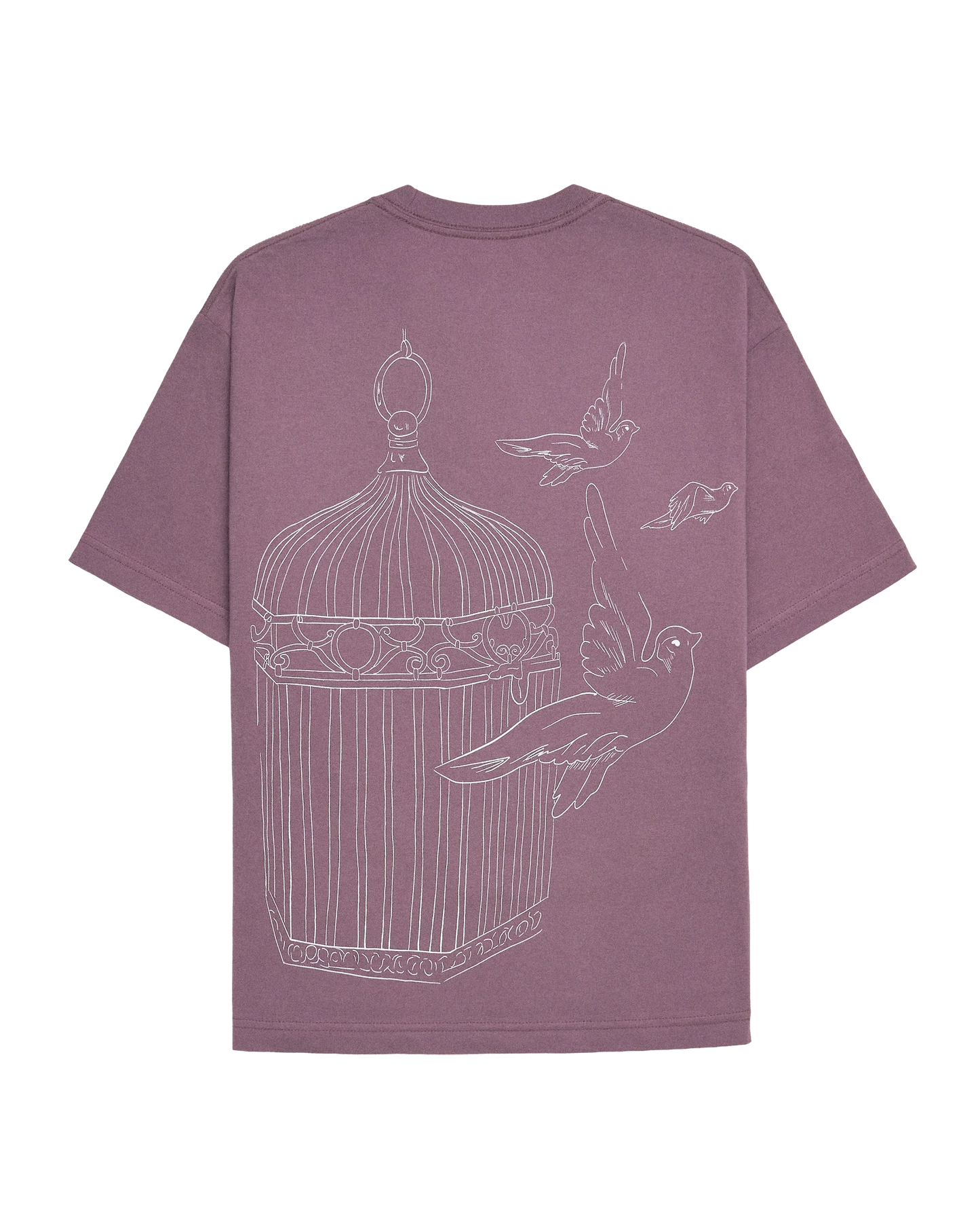 Speak Now (Taylor's Version) Bird Cage T-Shirt