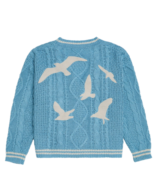 1989 (Taylor's Version) Cardigan
